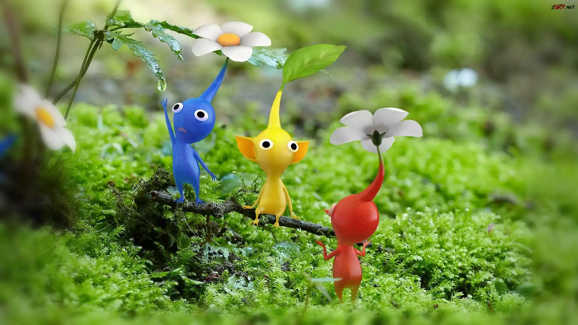 Kwiatki, Listek, Pikmin