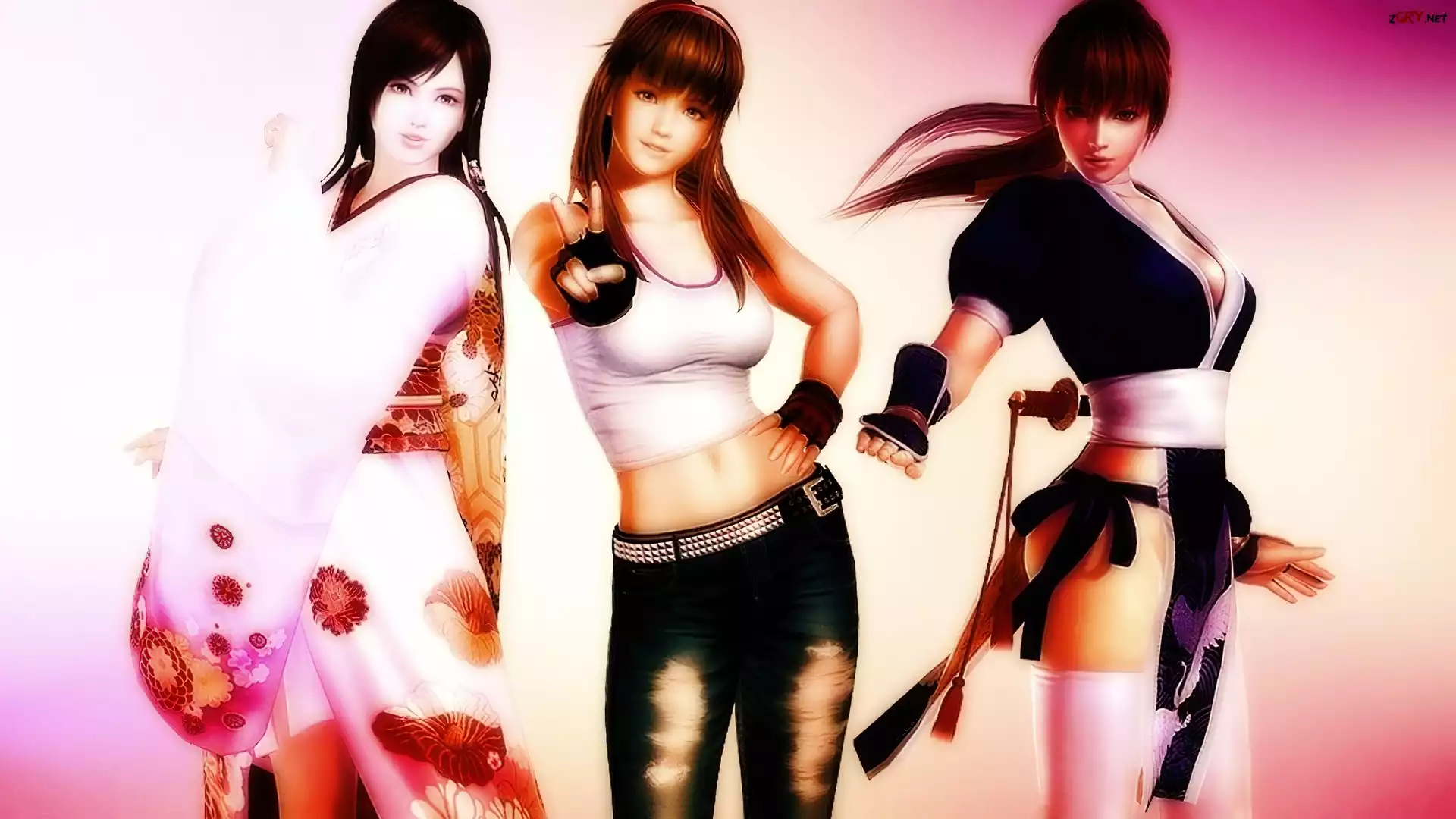 Dead Or Alive 5, Kasumi, Kokoro, Hitomi