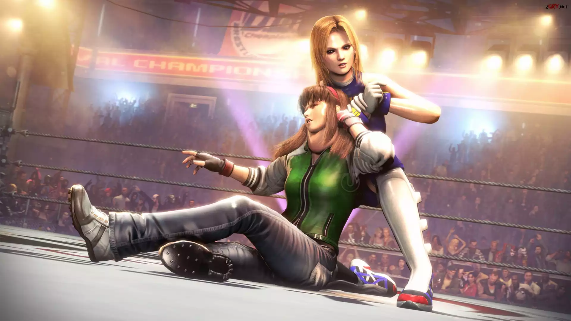 Dead Or Alive 5, Tina Amstrong, Hitomi