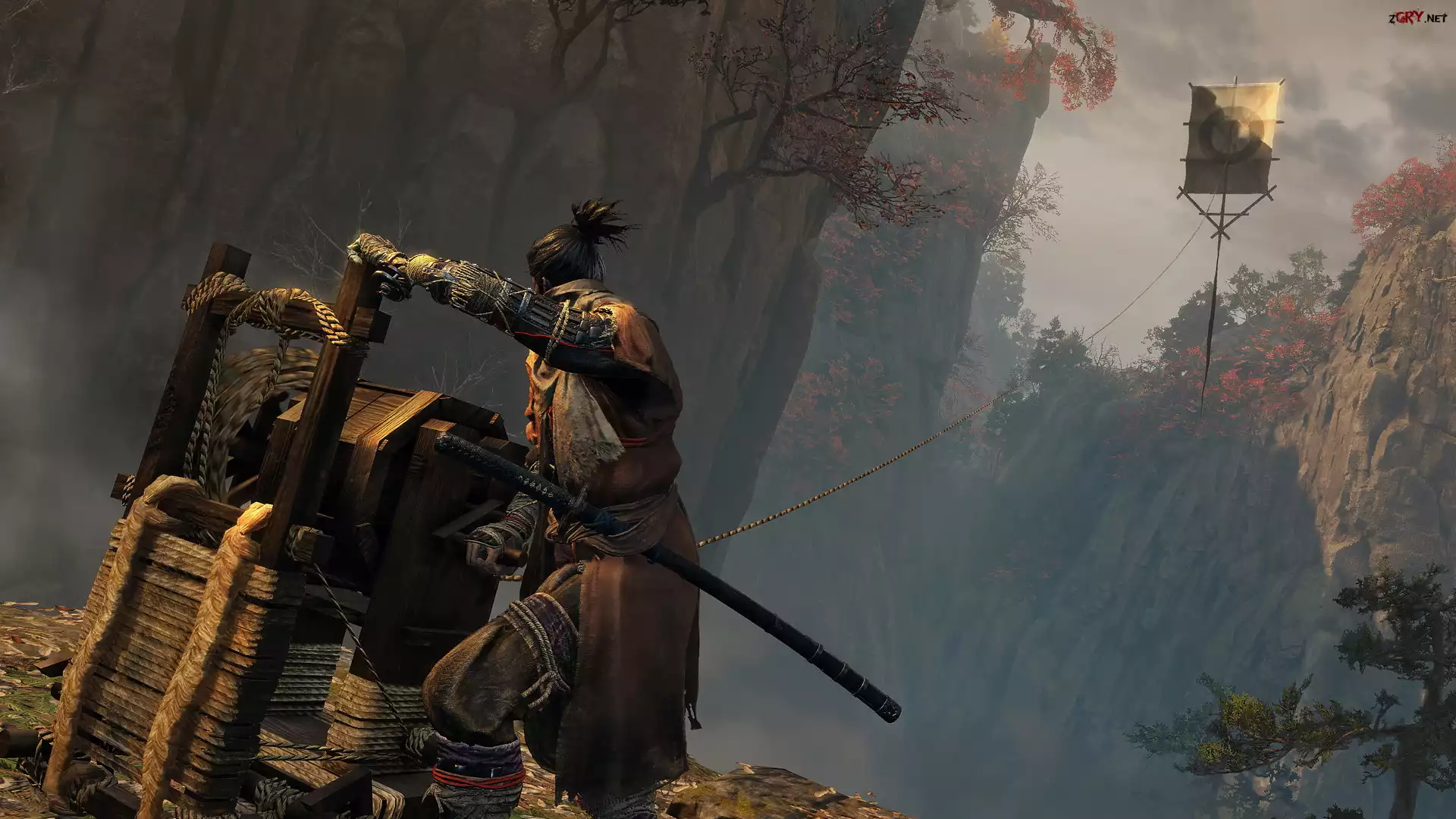 Sekiro Shadows Die Twice, Postać, Sekiro, Jednoręki wilk