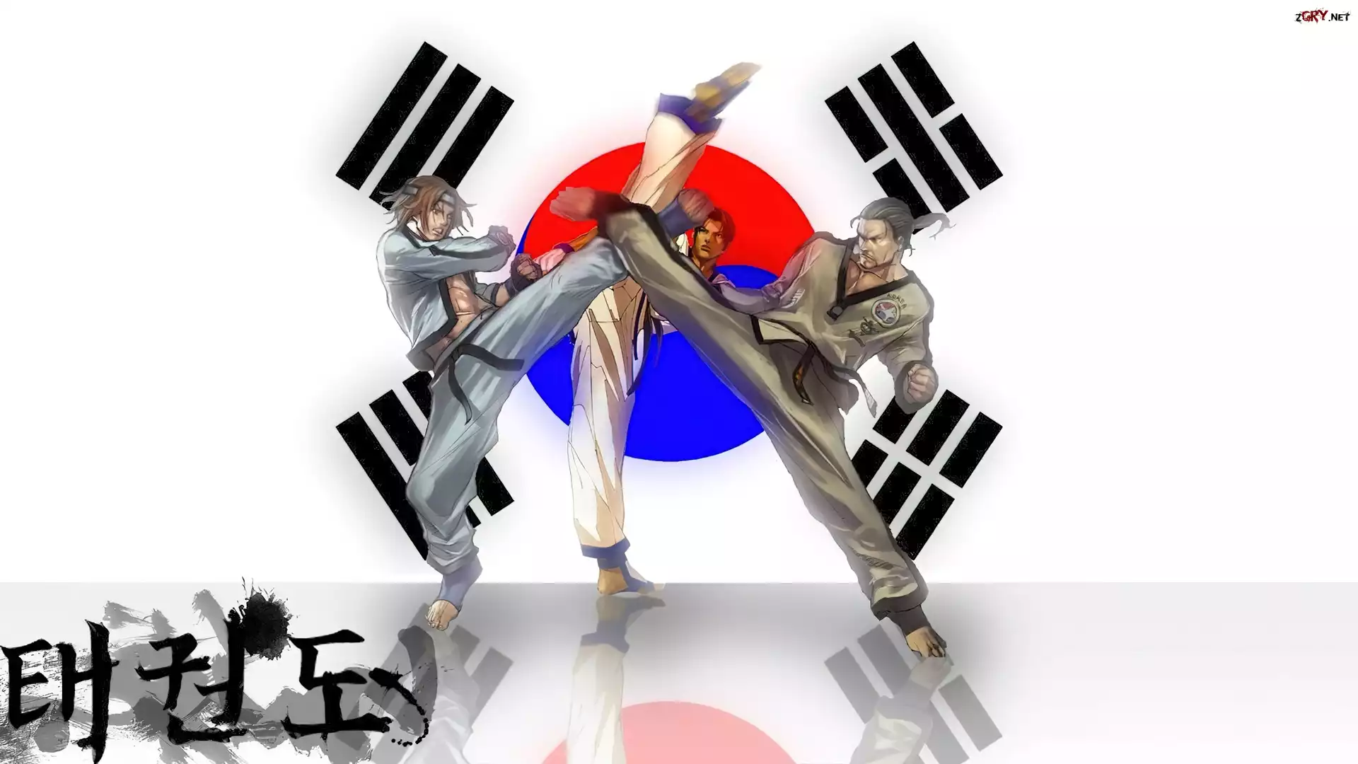 Tekken Tag Tournament 2, Hwoarang, Beak Do San
