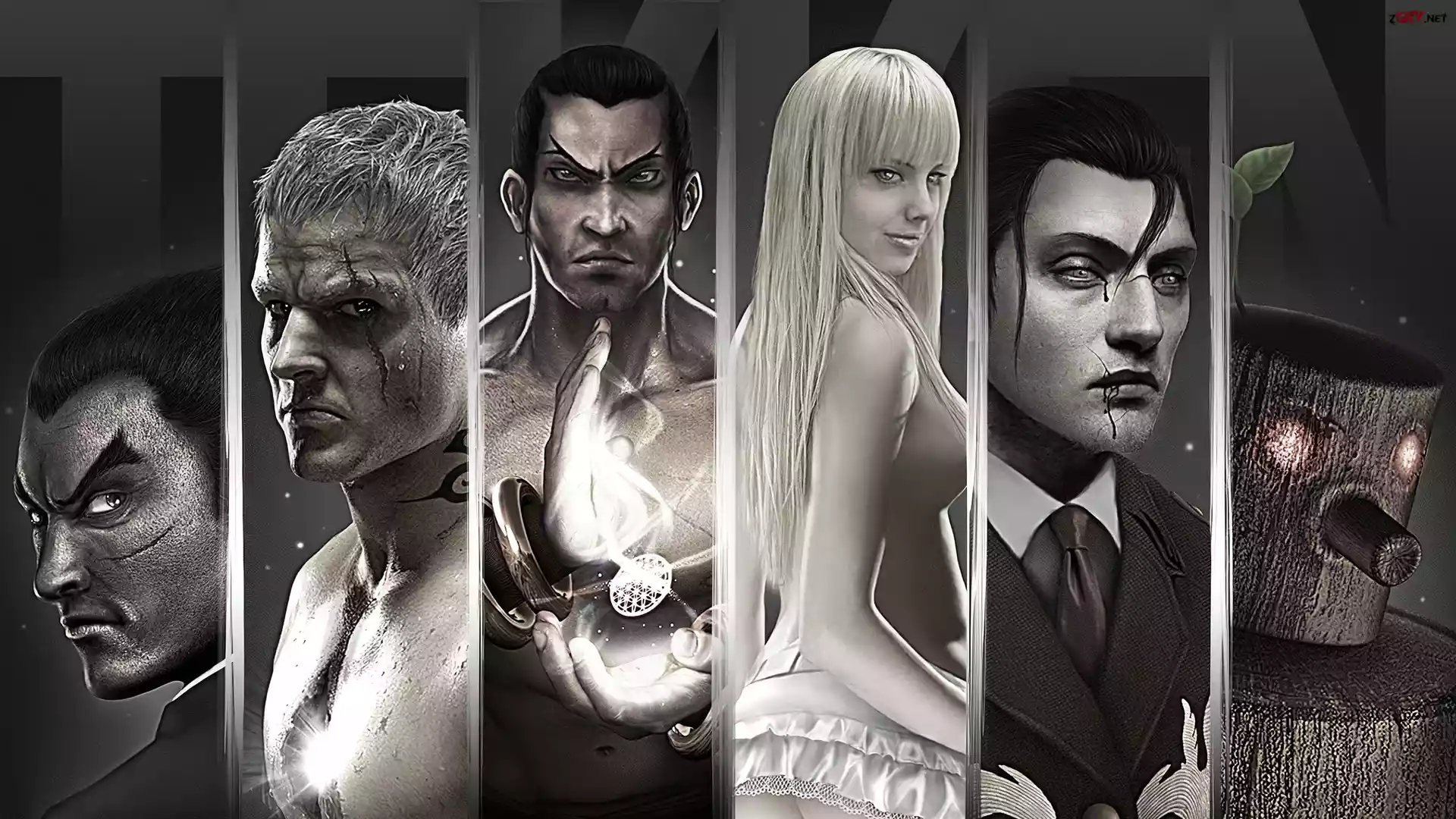 Tekken Tag Tournament 2, Postacie