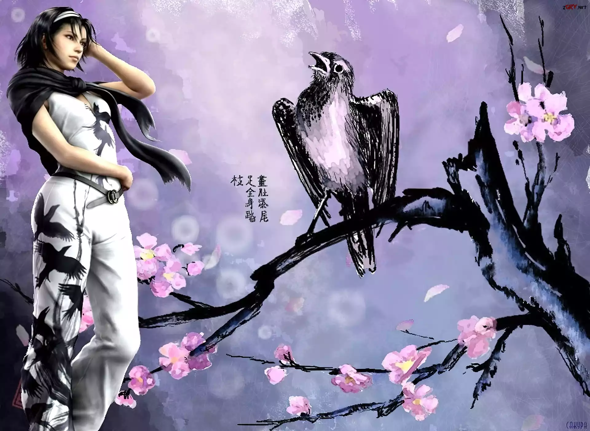 Tekken Tag Tournament 2, Jun Kazama