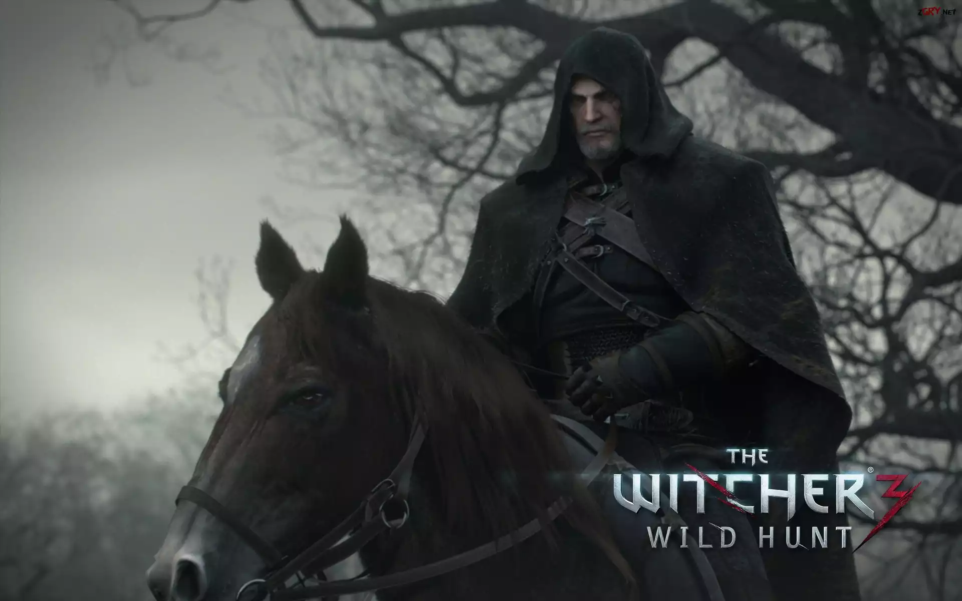 Wiedźmin 3:Dziki Gon, Geralt