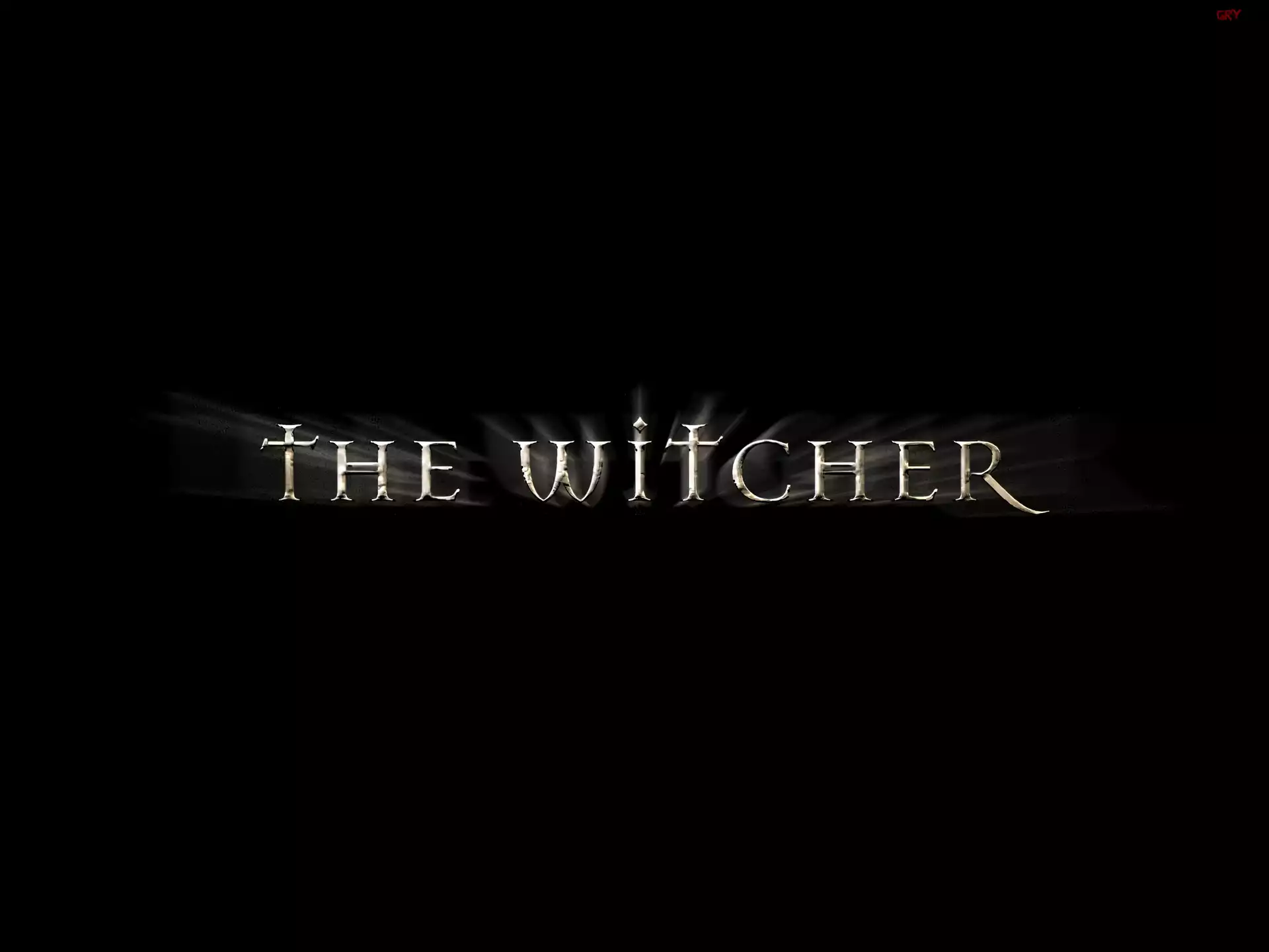 The Witcher, grafika
